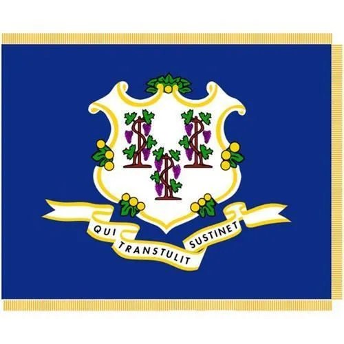 Indoor  - State Flags-  4x6 Nylon, No Fringe