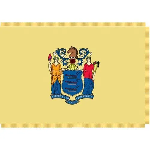 Indoor  - State Flags-  4x6 Nylon, No Fringe